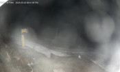 Latest image